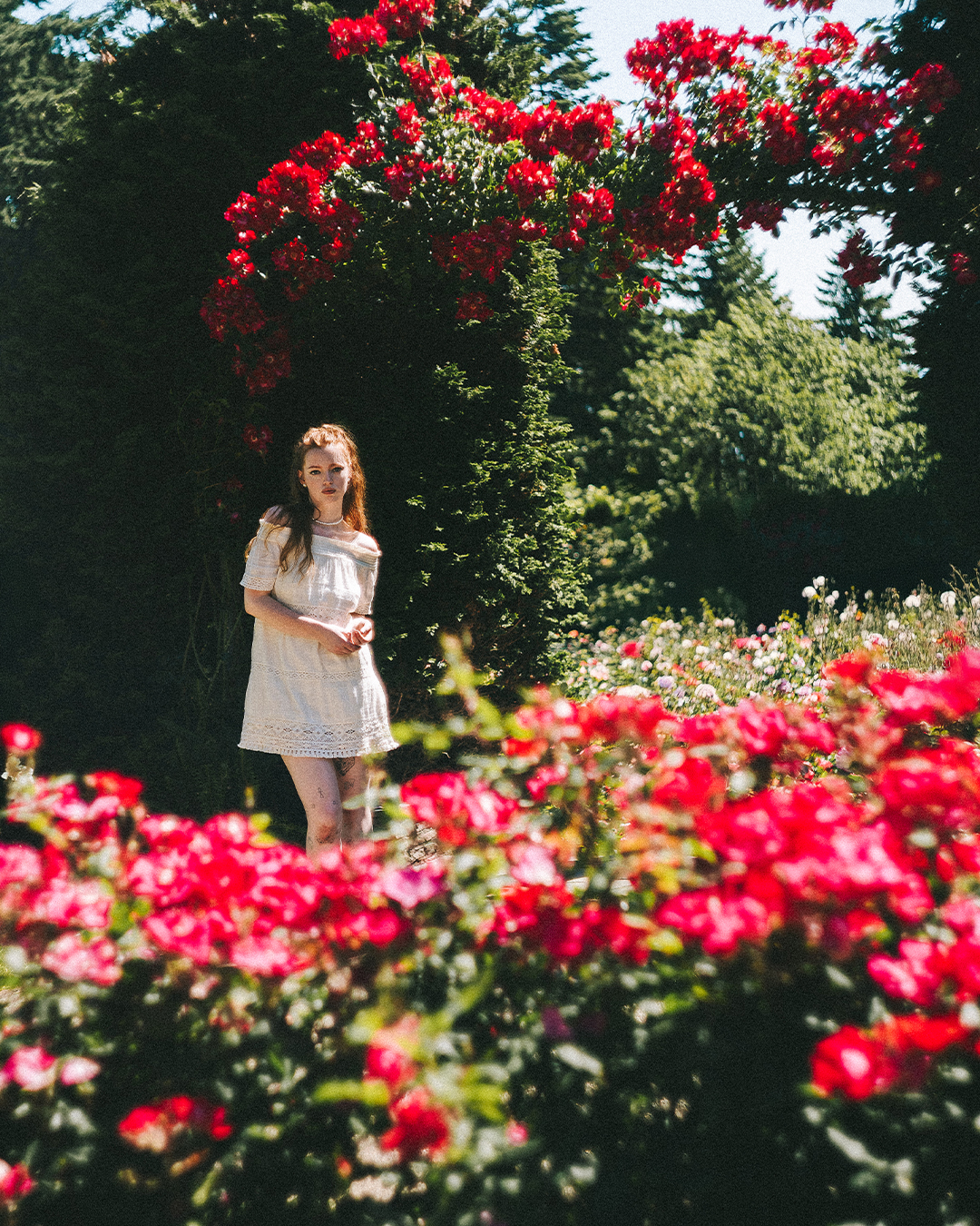 Creative Editorial Portraits at a Rose Garden in Portland — photograph 17 of 20